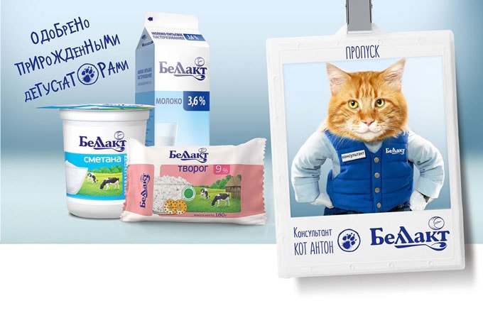 Рекламный постер молочной продукции Беллакт