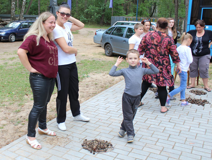 Конкурс с шишками